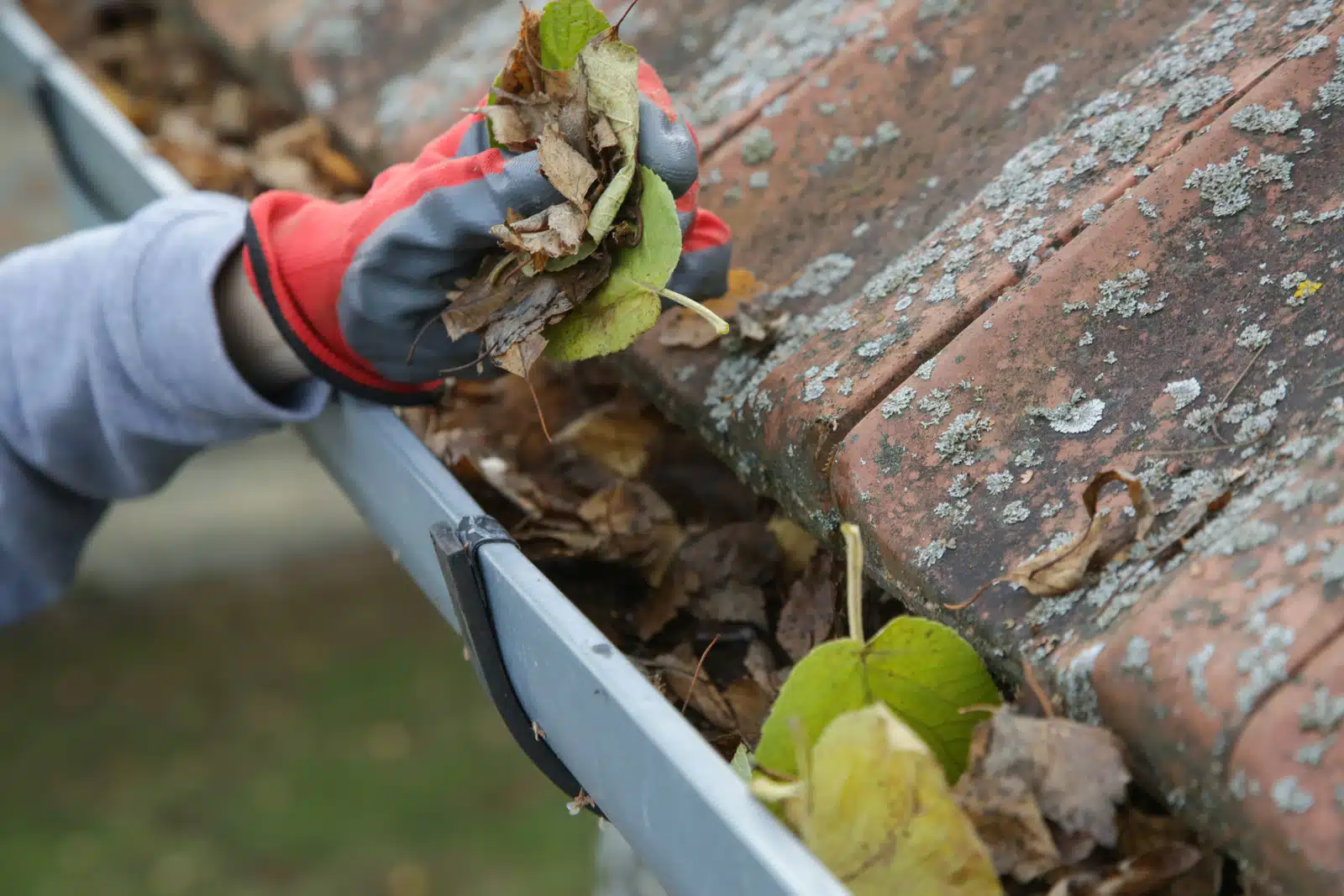 Gutter Cleaning Service